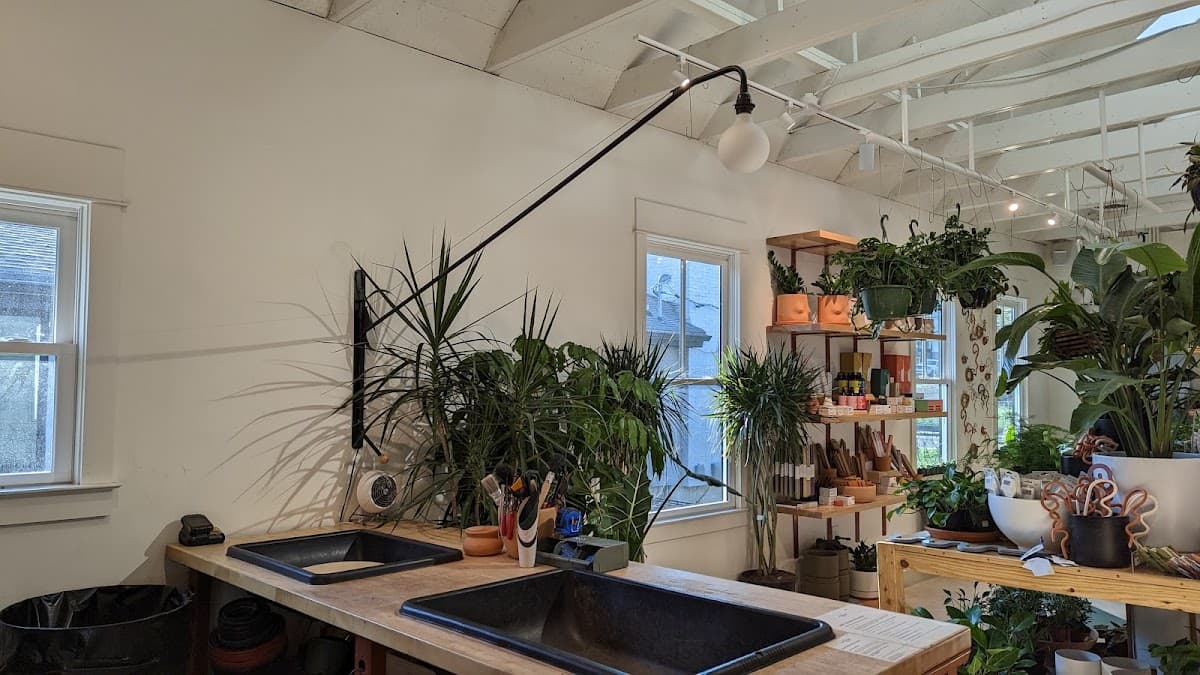 Bellwood Coffee